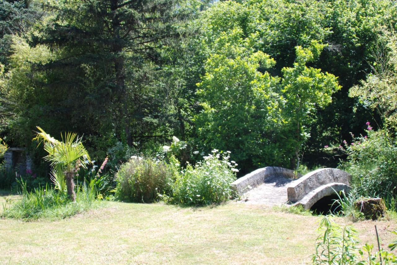 Bed and Breakfast La Petite Marguerite Chitenay Exteriér fotografie