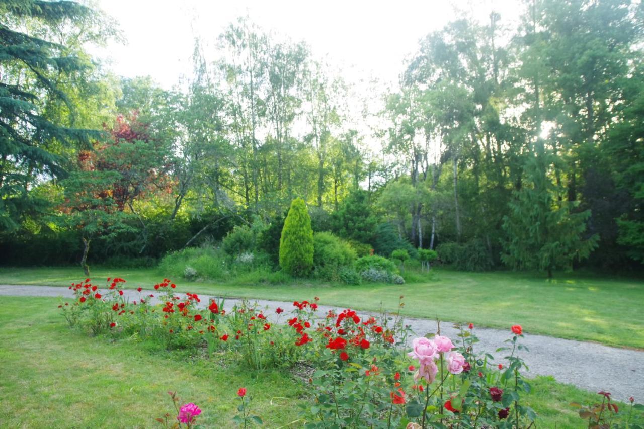 Bed and Breakfast La Petite Marguerite Chitenay Exteriér fotografie